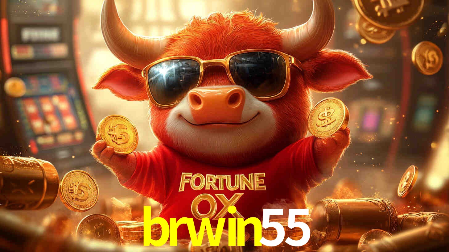 brwin55.com
