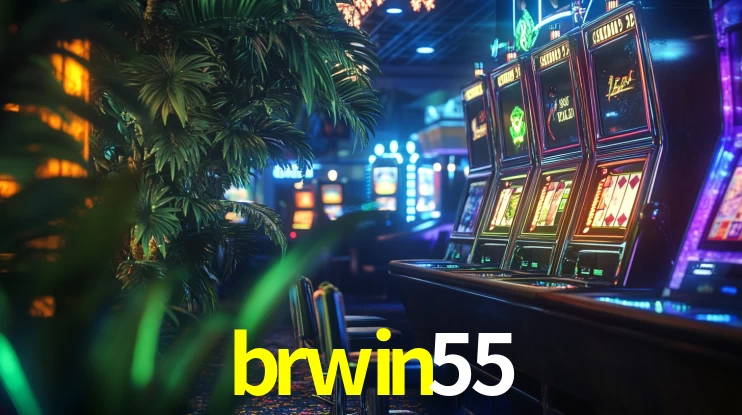 brwin55 App Interface